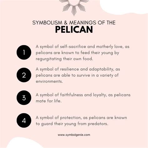 Pelican: Symbolism, Meanings, and History - Symbol Genie