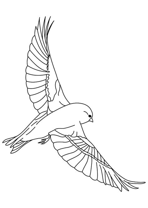 Canary Bird Perched on Tree Coloring Pages | Best Place to Color