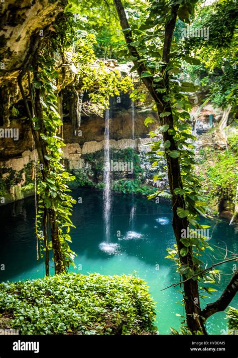 Cenote Zaci - Valladolid, Mexico Stock Photo - Alamy