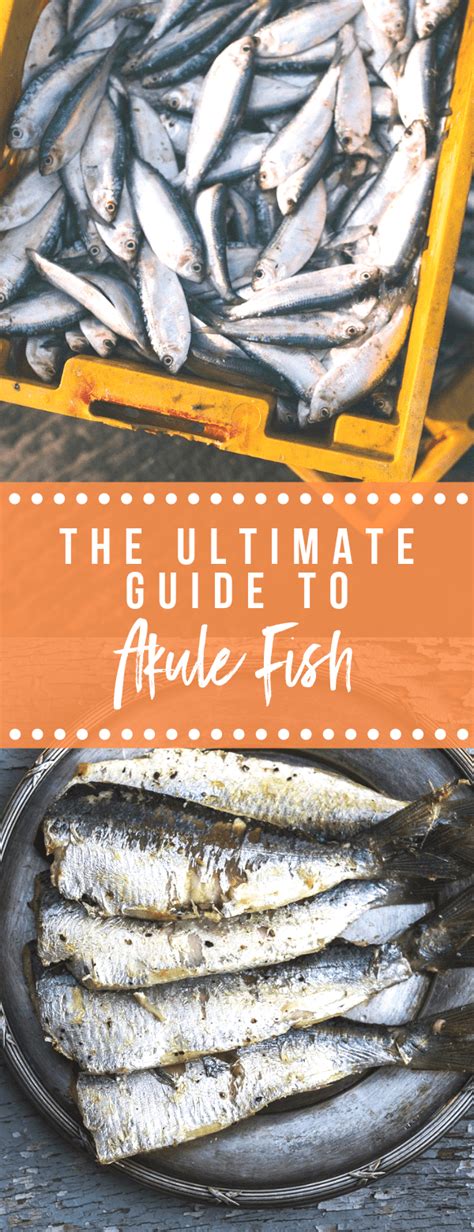 The Ultimate Guide to Akule Fish - NomList