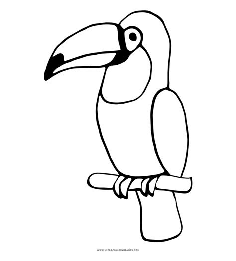 Rainforest Toucan Coloring Page Coloring Pages