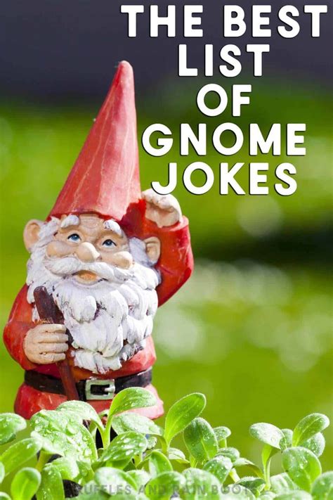 The Best Gnome Jokes for All Ages | Funny garden gnomes, Jokes, Gnomes ...