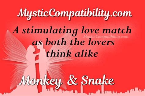 Monkey Snake Compatibility - Mystic Compatibility