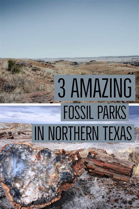 Fossil Hunting Guide to major locations in northern Texas. Parks mentioned include Ladonia ...