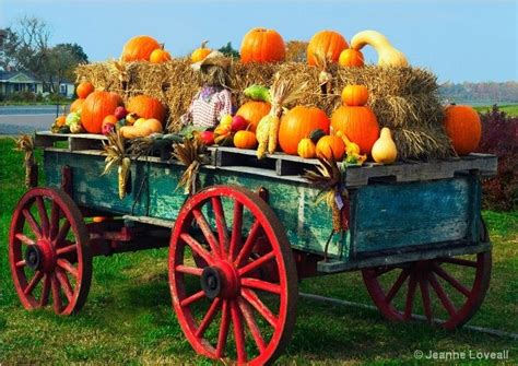 Hayride | Fall outdoor decor, Autumn display, Beautiful fall