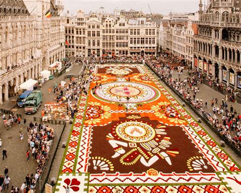 Visiting the Flower Carpet in Brussels in 2022 (Incl. a Secret Viewing ...