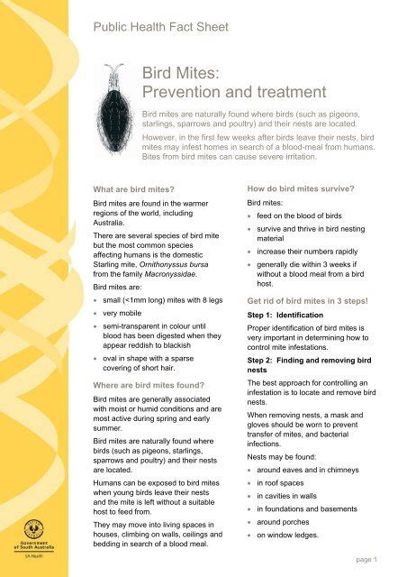 Bird Mites: Prevention and treatment - SA Health - SA.Gov.au