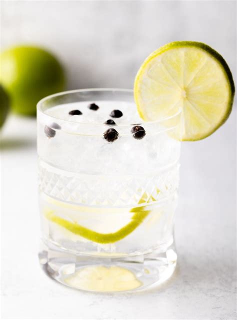 The Best Gin and Tonic Recipe + VIDEO - A Spicy Perspective