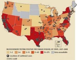 What Is Chagas Disease And Should You Worry? | hubpages