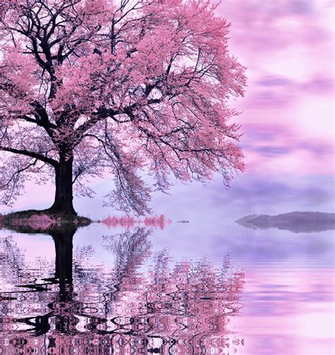 d1e59332.gif (800×850) | Beautiful nature, Live wallpapers, Pink live