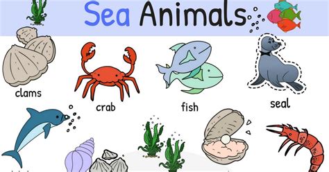 Learn Names of Sea Animals in English - ESLBUZZ