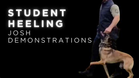 Learn more about Dog Training and STSK9's Heeling Styles Class