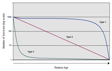 Biology Graphs: Survivorship Curves