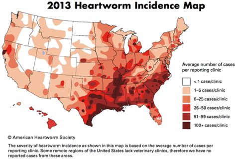 heartworm-incidence - Companion Care