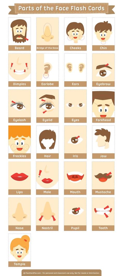 an info sheet with different types of people's faces and the words ...