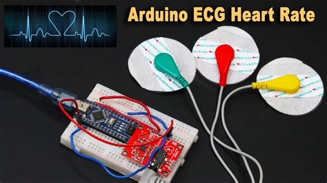 Ecg Module Ad Ecg Measurement Pulse Heart Ecg Monitoring Sensor | sexiezpix Web Porn