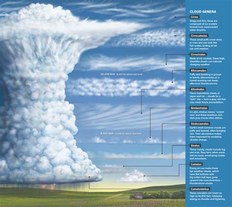 Cloud types | Weather science, Clouds, Earth weather