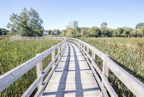 Sackville, New Brunswick: North America’s first Wetland City — Ducks ...