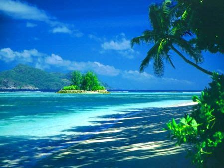 Lovely tropical island - Beaches Wallpaper ID 1127750 - Desktop Nexus Nature | Beach holiday ...