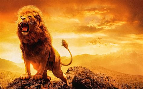Download Lion, Male Lion, Female Lion. Royalty-Free Stock Illustration Image - Pixabay