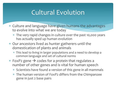 PPT - Theory of Human Evolution PowerPoint Presentation, free download ...