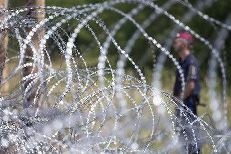 Hungary Begins Work On Razor Border Fence To Stem Influx Of Migrants ...