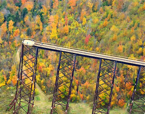 Allegheny National Forest & Kinzua Sky Walk - Where & When