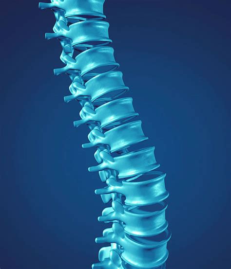 Endoscopic Spine Surgery Instruments | Lindare Medical