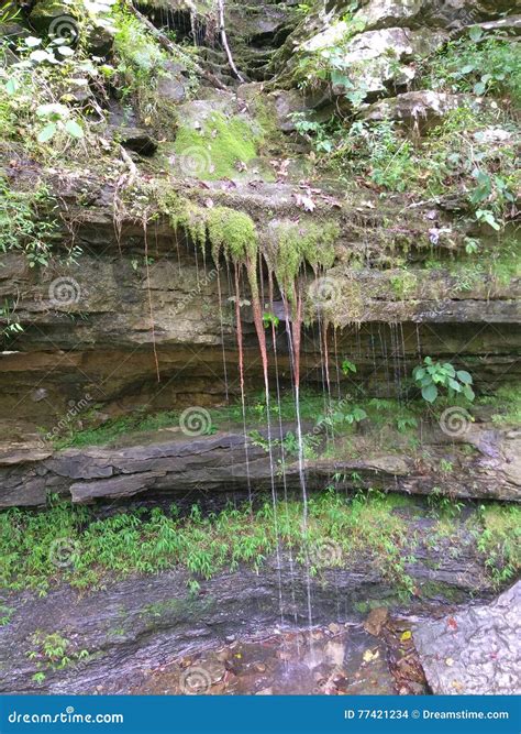 Mossy dried up waterfall stock photo. Image of mossy - 77421234