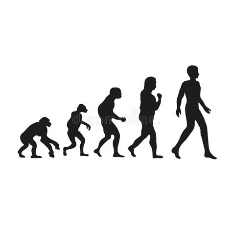 Darwin Evolution of Human. from Monkey To Modern People Stock Vector ...