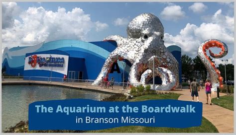 The Branson Aquarium at the Boardwalk - Branson Aquarium Review and Tips - ...and Blue Sky