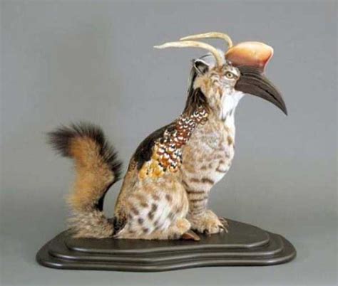 Frighteningly Creepy Taxidermy | KLYKER.COM