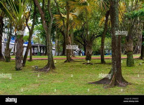 KLCC Park, Kuala Lumpur, Malaysia Stock Photo - Alamy