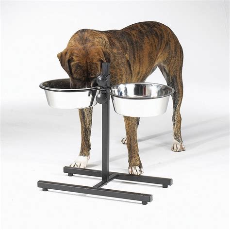 Raised Dog Bowls For Large Dogs Elevated Tall Breeds Great Dane 2 Quart ...