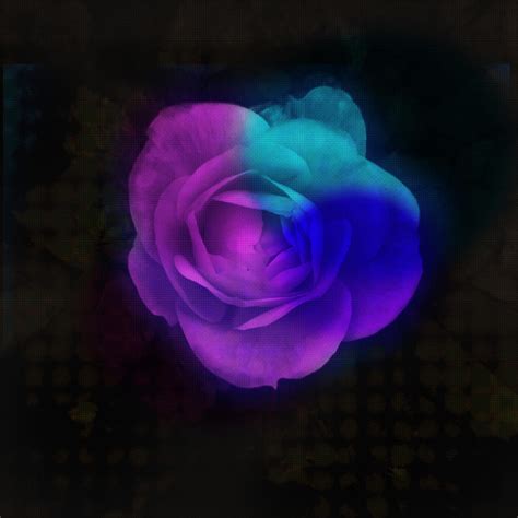 Bitmap Pixel Rose Mixed Media by Gina Dsgn - Pixels