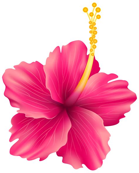 Tropical Flowers Clipart | Free download on ClipArtMag