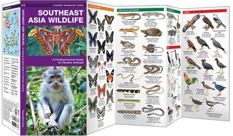 Southeast Asia Wildlife (Pocket Naturalist® Guide)