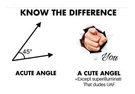 Angle vs angel not quite as bad as mixing up colon and cologne - Meme ...