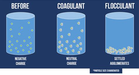 INTERN VIEW: How flocculation helps filtration