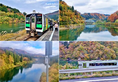 Aki-citing autumn train rides: 4 magical train rides to enjoy autumn views in Japan | JR Times