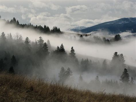 What Dream About Fog Means