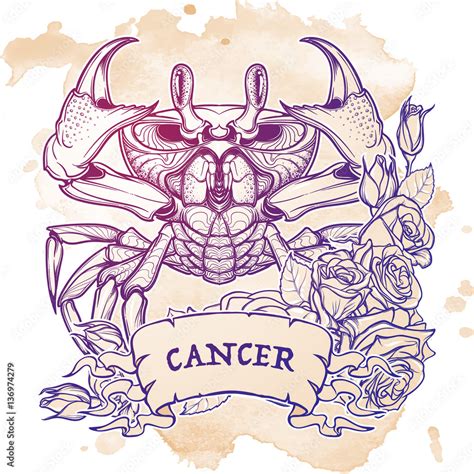 Zodiac sign - Cancer. Accurate symmetrical drawing of the beach crab ...