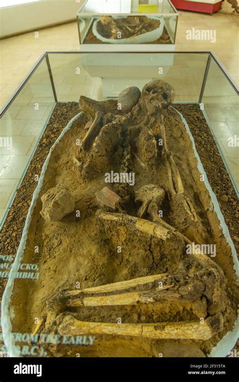 Vratsa, Bulgaria, June 16, 2020: Skeleton inside of the history museum ...