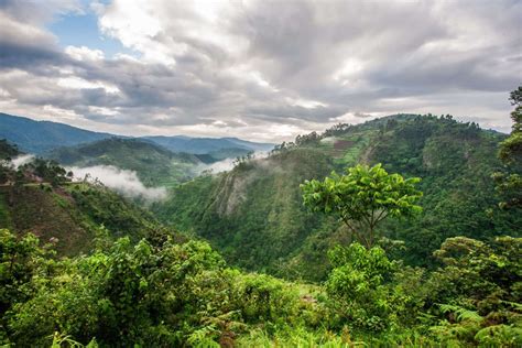 Národní park Bwindi - Uganda | Cestujlevne.com