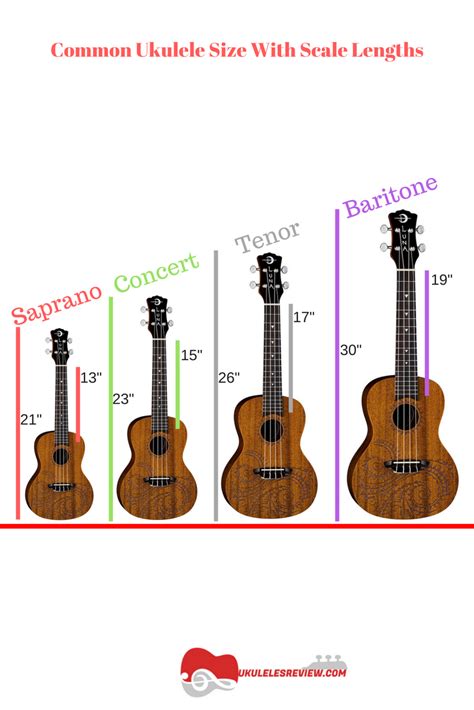 Common Ukulele Sizes With Scale Lengths in 2024 | Ukulele, Ukulele music, Ukulele sizes