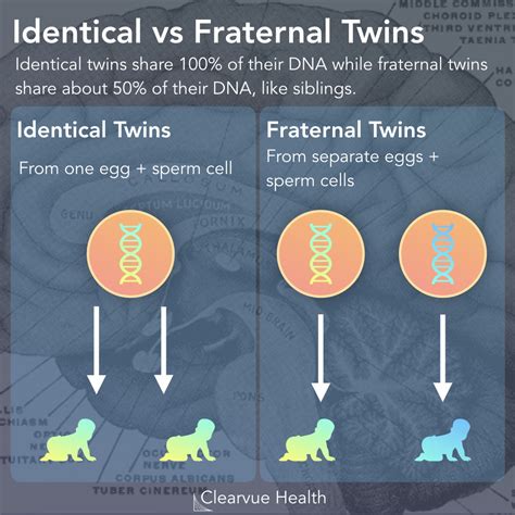 3 Charts | Genetic Heritability of Autism | Visualized Science