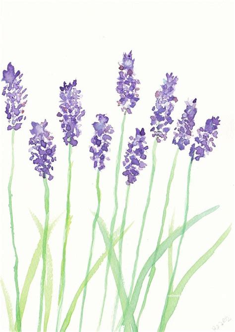 watercolor paintings of lavender | Lavender Watercolor: Watercolor, Watercolor Paintings ...