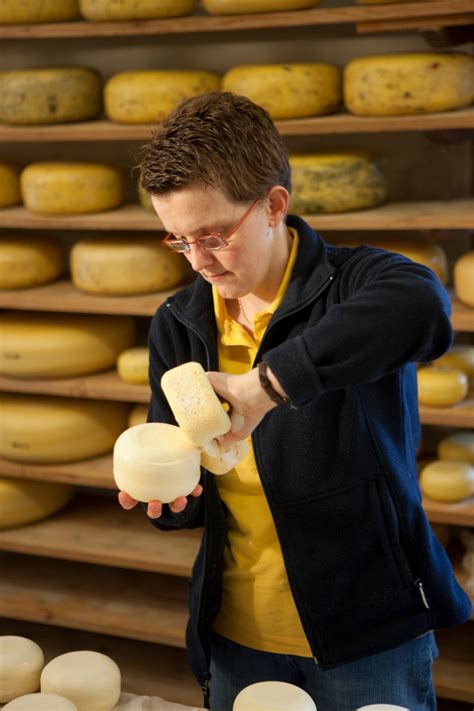 cheese-farm-tasting-and-gouda-walking-tour