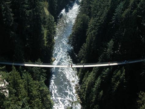 Capilano Suspension Bridge Park Guide | Vancouver, BC