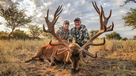 Poitahue Ranch | Red stag hunting by Argentina Heritage Outdoors